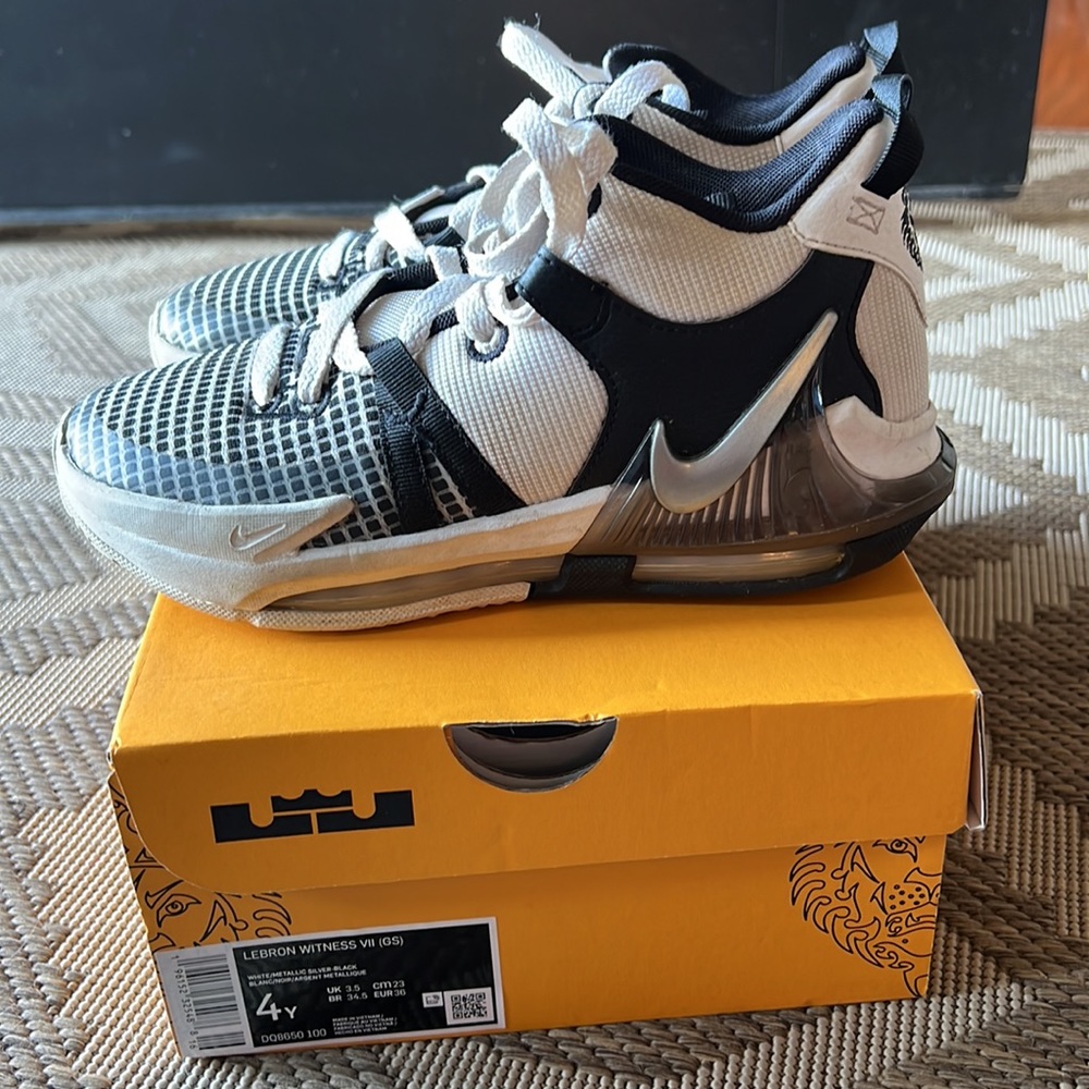 Nike LeBron Witness VII